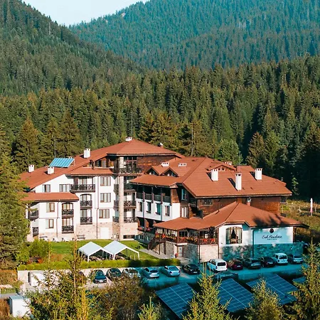 Away From 538 * Smolyan